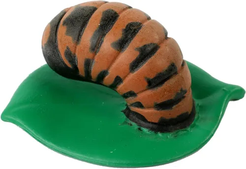 Miniatura 4 de Insect Lore estados del ciclo de la vida de mariquita