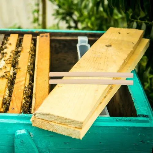 Miniatura 3 de GANAZONO 500 tubos de nido de abeja para nido de abeja, tubos de repuesto para casa de abejas, tubos de repuesto reemplazables para abejas, tubos