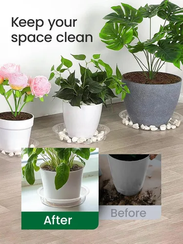 Miniatura 4 de GROWNEER 15 paquetes de platillos transparentes de 6 pulgadas para plantas, bandejas para macetas, con 15 etiquetas para plantas, platillos