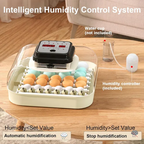 Miniatura 3 de CoInceptus 35 incubadoras de huevos para incubar huevos, incubadora de huevos con giro automático de huevos y control de humedad, incubadora