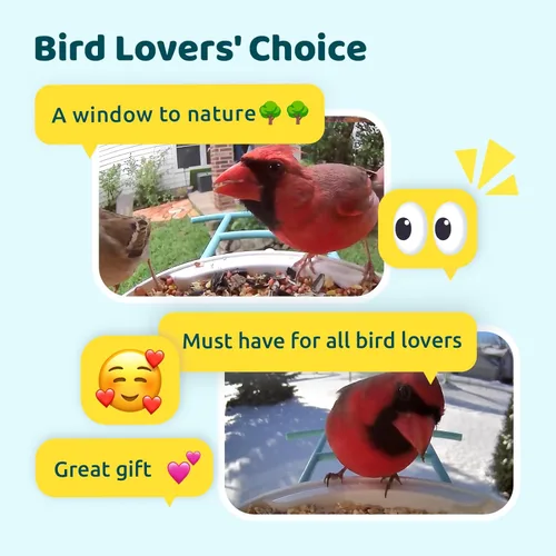 Miniatura 9 de NETVUE by Birdfy - Comedero inteligente para pájaros con cámara, AI identifica especies de aves, visión nocturna de 2 MP y alertas de aplicaciones