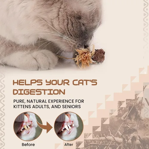 Miniatura 4 de HUPA Palitos de hierba gatera Alivio de la ansiedad y limpieza de dientes de gatito, vid plateada natural con hierba de rafia para dientes