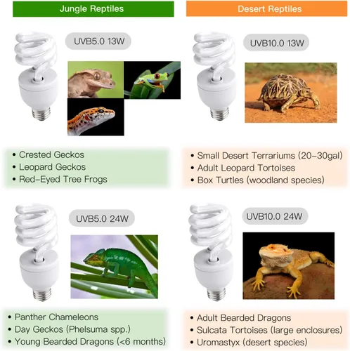 Miniatura 3 de Luz de reptil UVB, bombilla UVB5.0 de 13 W, lámpara de bombilla de reptil UVA UVB para leopardo Gecko crestado, tortuga, bombillas Camaleón UVB