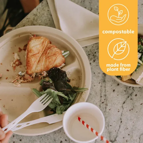 Miniatura 4 de Platos de papel desechables 100% compostables a granel [10 pulgadas, 3 comp 125 paquetes], platos de bambú, ecológicos, biodegradables, resistentes