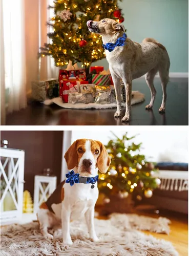 Miniatura 4 de Collar para perro con pajarita, Collar de algodón con pajarita para cachorro, Collar para perro azul para niña o niño con hebilla de metal duradera