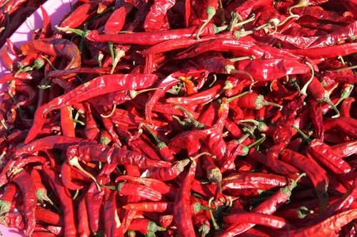Miniatura 3 de 100 semillas de chile Sichuan orgánicas certificadas por USDA, Er Jing Tiao, producto de los Estados Unidos, sin OMG