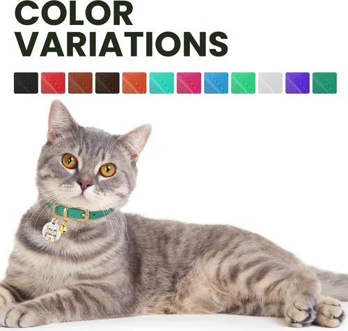 Miniatura 5 de BRONZEDOG Collar de cuero para gato con campanas extraíbles sin liberación rápida, etiqueta QR para gatito para niña y niño