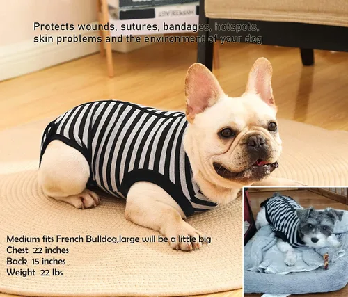Miniatura 5 de Traje de Recuperación Quirúrgica para Perros, Camisa de Cirugía para Perros Machos y Hembras, Ropa de Recuperación para Esterilización y Castración