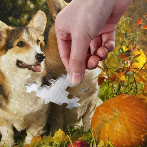Miniatura 4 de Rompecabezas de perro Welsh Corgi Pembroke de 500 piezas para adolescentes y adultos, 20.5 x 14.9 pulgadas