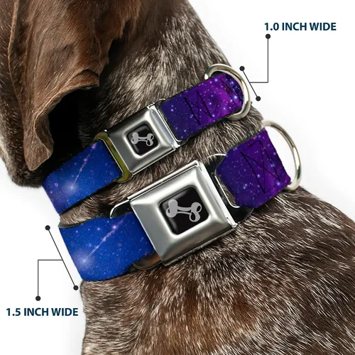 Miniatura 2 de Buckle-Down Collar de perro con hebilla de cinturón de seguridad, color azul galaxia/morado, 1 pulgada de ancho, se adapta a cuello de 9 a 15