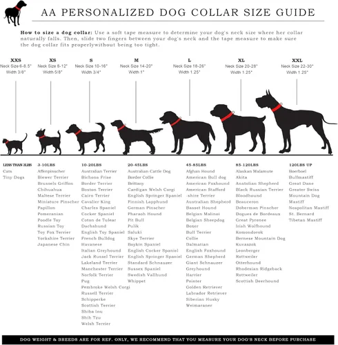 Miniatura 6 de Collar de perro personalizado con nombre y número de teléfono grabado, collar ajustable personalizado para cachorros, collar de algodón orgánico