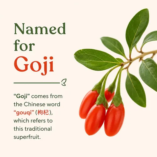 Miniatura 7 de Goji Berry Plantas vivas para cultivar – Arbusto de bayas de Goji resistente para plantar – Arbusto de superfrutas comestible – Planta frutal