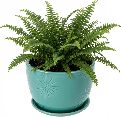 Miniatura 11 de MyGift - Maceta redonda de cerámica amarilla de 17,78 cm con orificio de drenaje y platillo adjunto, moderna y decorativa, con relieve