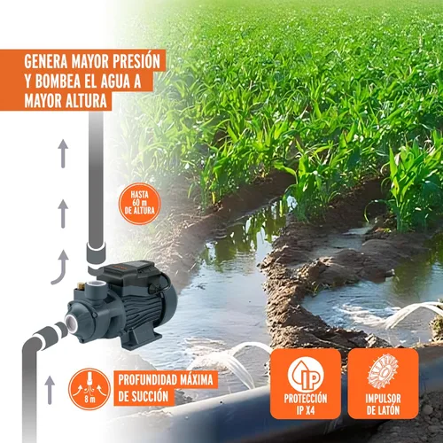 Miniatura 5 de Bomba periférica agua eléctrica 1HP