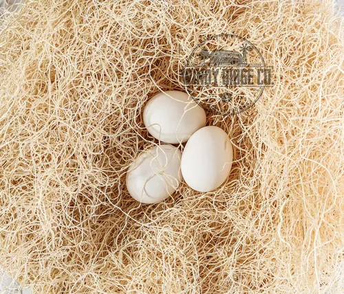 Miniatura 4 de Almohadillas naturales para anidar pollo, paquete de 10 unidades, Aspen Excelsior Bedding - Revestimientos para cajas nido de gallina - Fabricado