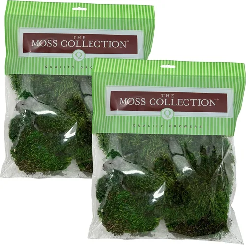 Miniatura 10 de Musgo de hoja preservado - Musgo decorativo natural - Musgo seco para manualidades, decoración del hogar, proyectos de arte, diseño y bricolaje - No