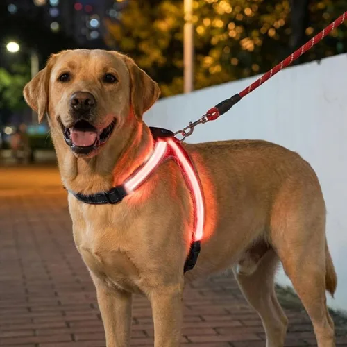 Miniatura 6 de Arnés reflectante con correa para perro con iluminación LED, chaleco de seguridad iluminado para perro