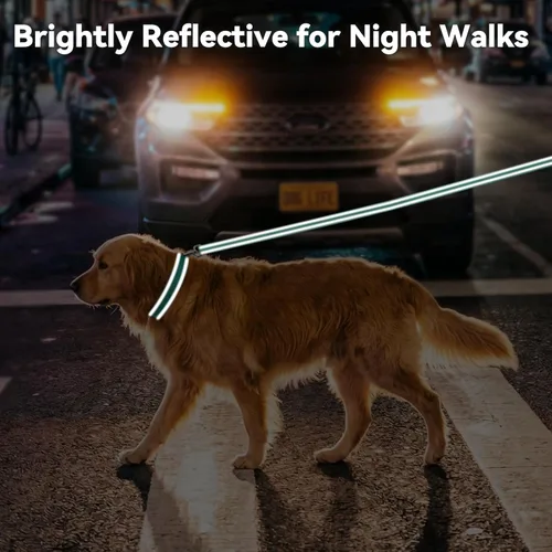 Miniatura 3 de Joytale Collares para perros personalizados, collar de nailon reflectante con placa de nombre grabada, personalizado para perros medianos, verde