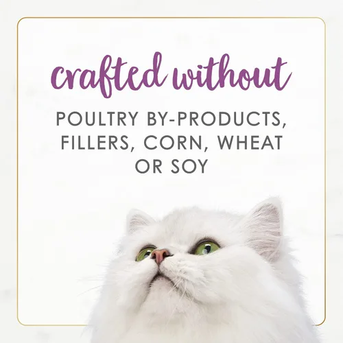 Miniatura 6 de Purina Fancy Feast Paté - Comida húmeda enlatada para gatos adultos, Paté Natural Gourmet