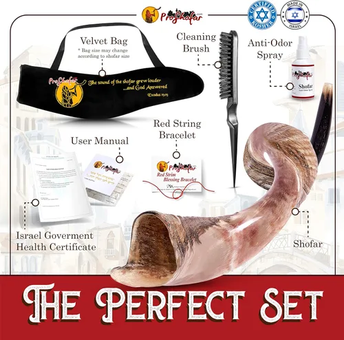 Miniatura 8 de Juego de Shofar Kudu Kosher medio pulido de Israel, más bolsa, certificado kosher firmado oficialmente, cuerno de shofar hecho en Israel