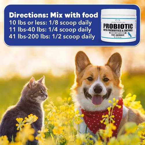 Miniatura 6 de Probióticos para perros y gatos – Formulado por veterinarios, fabricado en Estados Unidos, prebiótico y enzimático para mascotas en polvo