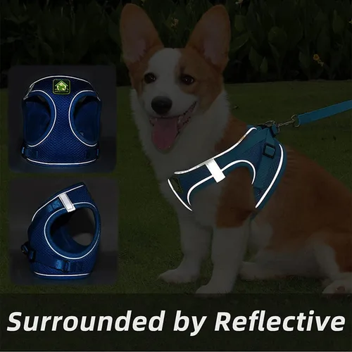 Miniatura 17 de Juego de arnés y correa para perros pequeños, arnés reflectante ajustable sin tirones, arnés transpirable suave para cachorros y perros pequeños