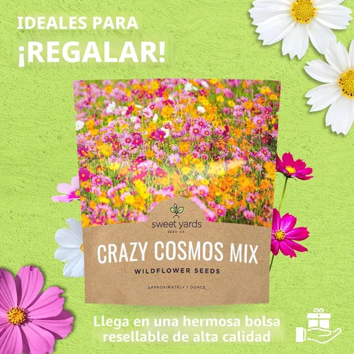 Miniatura 10 de Cosmos Seeds Mezcla de flores silvestres, paquete a granel de 1 onza, más de 5,000 semillas, especies mixtas de rosa, amarillo, naranja, rojo