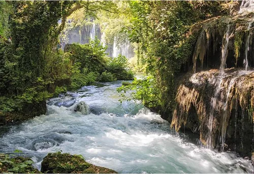 Fondos de vinilo de bosque verde de 9 x 6 pies para fotografía, paisaje de montaña y agua, hermosa cascada y río, árbol antiguo al aire libre,