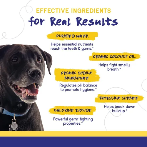 Miniatura 4 de PupGrade Solución de aditivo de agua para el cuidado dental - Cuidado bucal avanzado para perros - Enjuague dental para aliento fresco para luchar