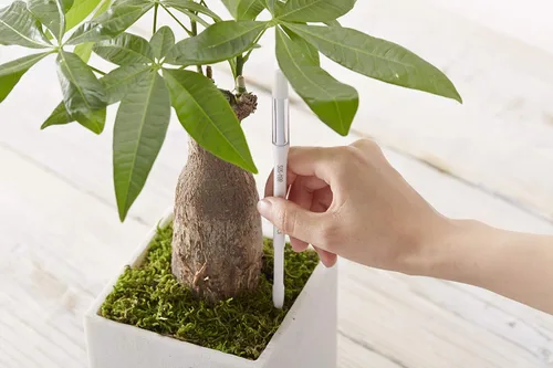 Miniatura 4 de Sustee Aquameter, White, Medium -Soil Moisture Meter for Potted Plants - Plant Water Sensor (Refillable Style)