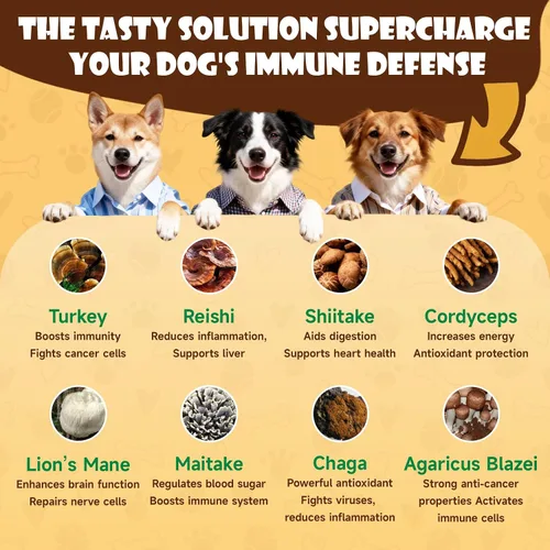 Miniatura 4 de Hongos para perros: suplemento orgánico de hongos en polvo para perros, aumenta la inmunidad, apoya la digestión y mejora la salud general
