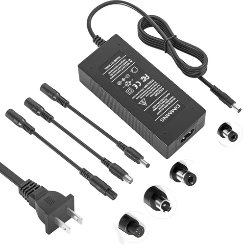 Cargador de 42 V 2 A con 4 puntas (5.5 x 2.1/5.5 x 2.5/0.315 in, 3 clavijas/RCA) compatible con Hiboy, Gotrax, Swagtron universal para batería de