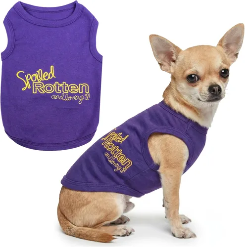 Miniatura 21 de Parisian Pet - Camiseta bordada para perros y gatos, con texto en inglés Sexy and I Know It, XS Sexy y lo sé