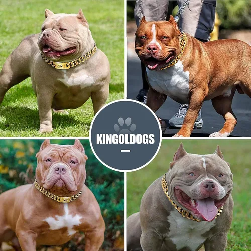 Miniatura 7 de Collar de cadena de oro para perro, collar de cadena de metal de 18 quilates, collar de perro con eslabones cubanos con diseño de hebilla segura