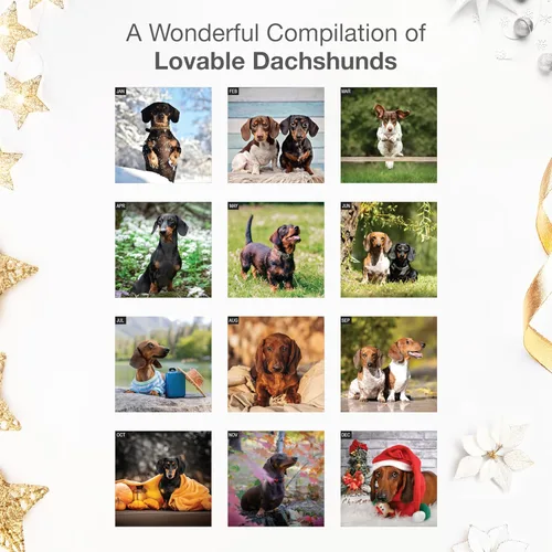 Miniatura 3 de RED EMBER Dachshunds - Calendario de pared 2026 de 12 meses 12 x 24 pulgadas abierto Papel grueso y resistente Regalo Lindo calendario