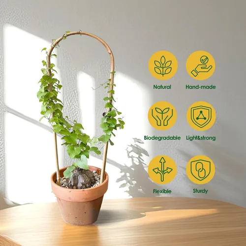 Miniatura 3 de Cambaverd Enrejado de plantas de interior para plantas trepadoras de 16 pulgadas, paquete de 6 enrejados de bambú para plantas en maceta