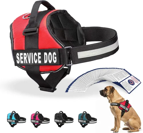 Miniatura 24 de Arnés Industrial Puppy para perros con correas y asa, y chaleco con parche reflectante, en un cómodo diseño de malla, Bright Red 2-Rojo Brillante