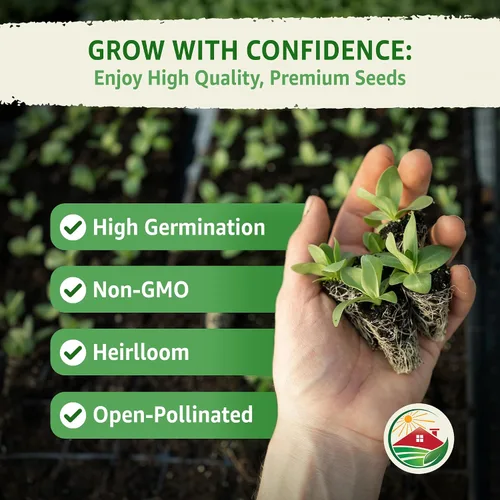 Miniatura 4 de TKE Farms & Gardens - Semillas de apio Utah 52-70 para plantar, reliquia, sin OMG, más de 2500 semillas, paquete de 0.04 oz, ideal para huertos