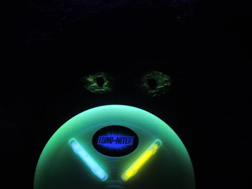 Miniatura 6 de Lumi-Niter Kit de discos Verde