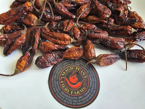 Miniatura 4 de Magic Plant 's Orange Datil - Cápsulas enteras secadas con datil fascinante y raro - Dulzura única y picante picante picante a diferencia de otros