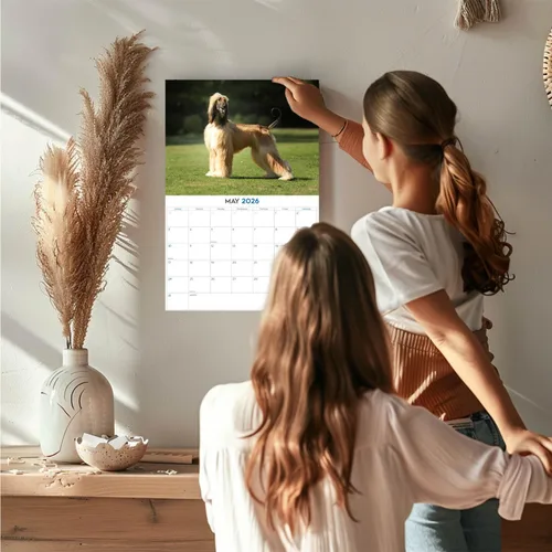 Miniatura 2 de Calendario de Lebrel Afgano 2025 2026, calendario mensual de pared de raza canina, 12" x 18" abierto, papel grueso sin traspaso, ideal para regalo