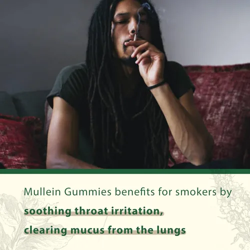Miniatura 6 de NEVISS Gomitas de gordolobo para pulmones, extracto orgánico de hoja de gordolobo de 1000 mg para sistema respiratorio con quercetina y bromelina