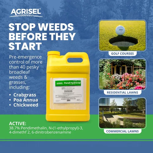 Miniatura 2 de Agrisel Pendi Hydrocap - Herbicida con fórmula pre-emergente, eficaz en más de 40 hierbas y hierbas de hoja ancha, sin manchas, se mezcla