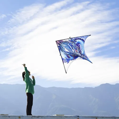 Miniatura 4 de Kites - Cometa gigante de playa para adultos, muy fácil de volar, adecuada para niños y adultos, para la playa/fiesta de kite/campo/parque