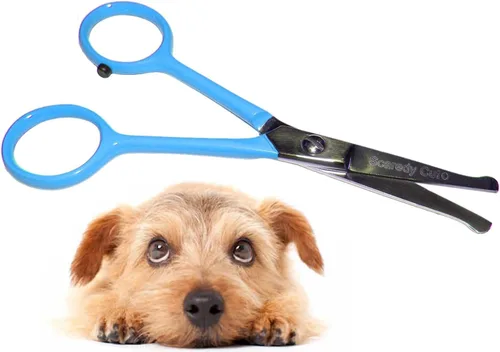 Miniatura 7 de Tijeras pequeñas para aseo de mascotas, con punta de bola y caja. Tijeras 4.5 pulgadas oreja, hocico, cara, pata, Rosado