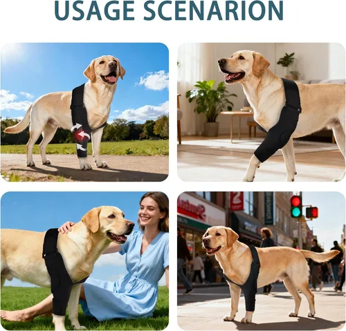 Miniatura 6 de Codera ajustable para perro con soporte de hombro, soporte de pierna delantera de perro para ligamentos desgarrados, artritis, rehabilitación Pierna
