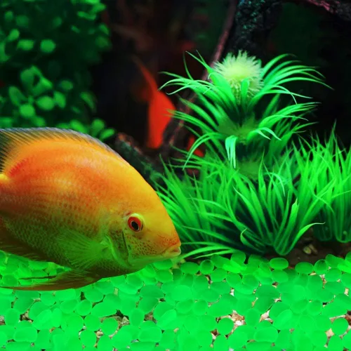 Miniatura 3 de Oubest - Piedras que brillan en la oscuridad / Guijarros que brillan / Piedras que brillan con decoración azul para jardín / Tanque de peces / Verde
