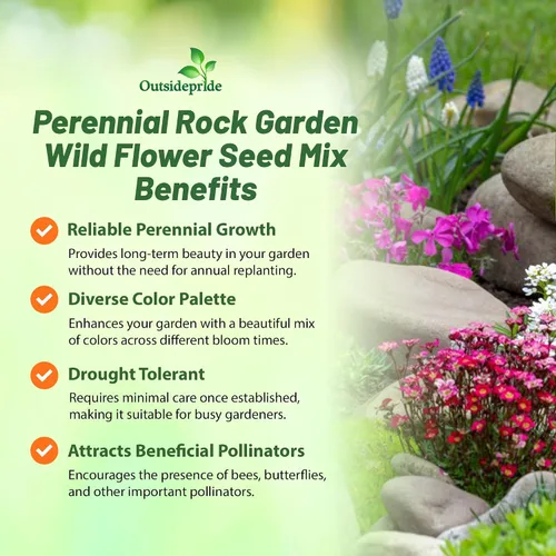 Miniatura 3 de Outsidepride Perennial Rock Garden - Mezcla de semillas de flores silvestres, 5000 piezas, fácil de cultivar, tolerante a la sequía, mezcla colorida