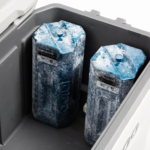 Miniatura 6 de Igloo Performance Ice Block