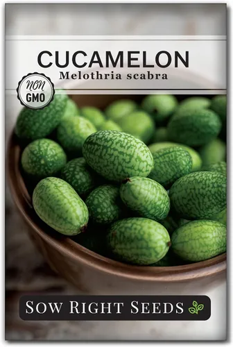 Sow Right Seeds - Semillas de Cucamelon para plantar - Paquete de reliquia sin OMG con instrucciones para plantar un jardín de verduras casero al